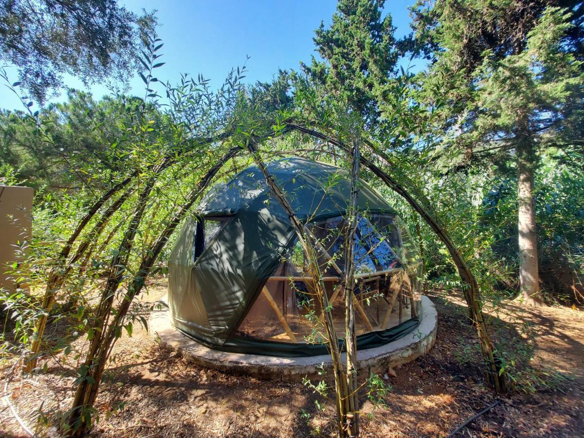 Salema Eco Camp - Sustainable Camping & Glamping Exterior photo